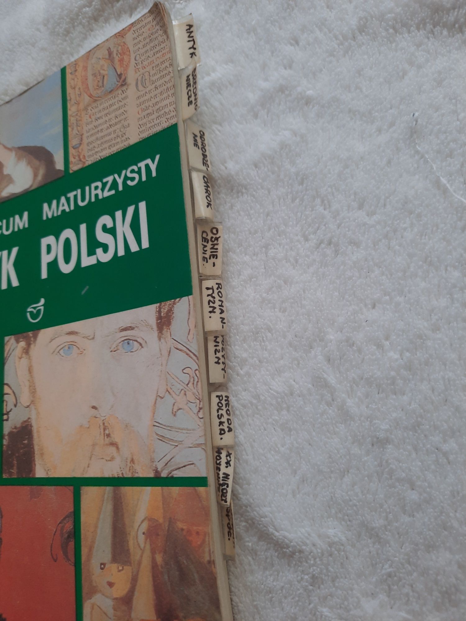 Vademecum maturzysty język polski powtórki książka omówienia ściągi