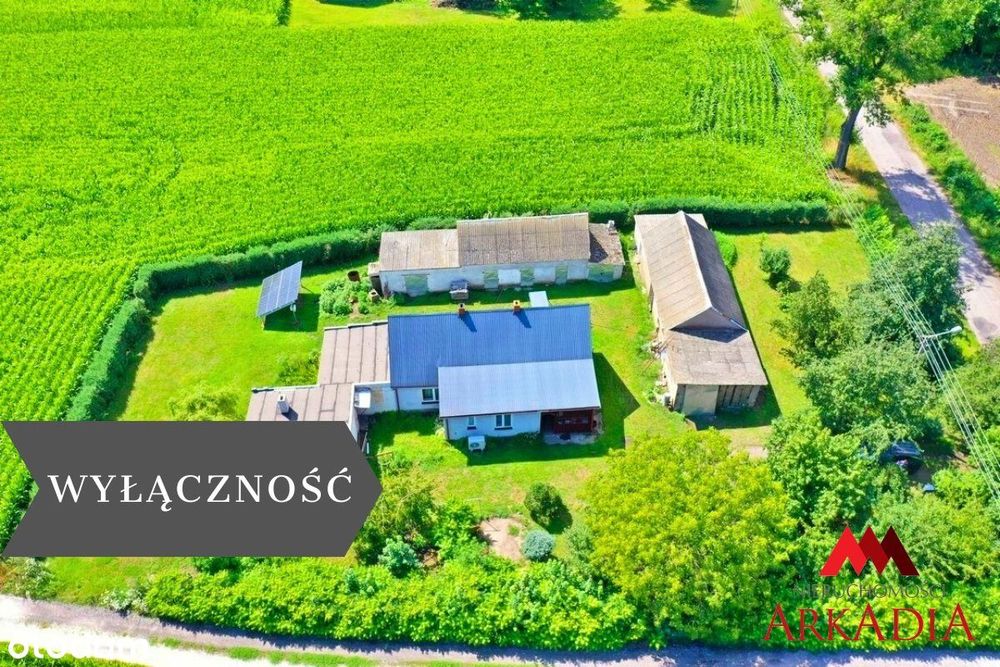 Dom z potencjałem/Bodzanowo