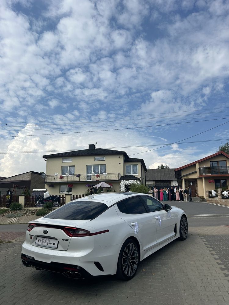 Auto do ślubu/ na wesele kia stinger