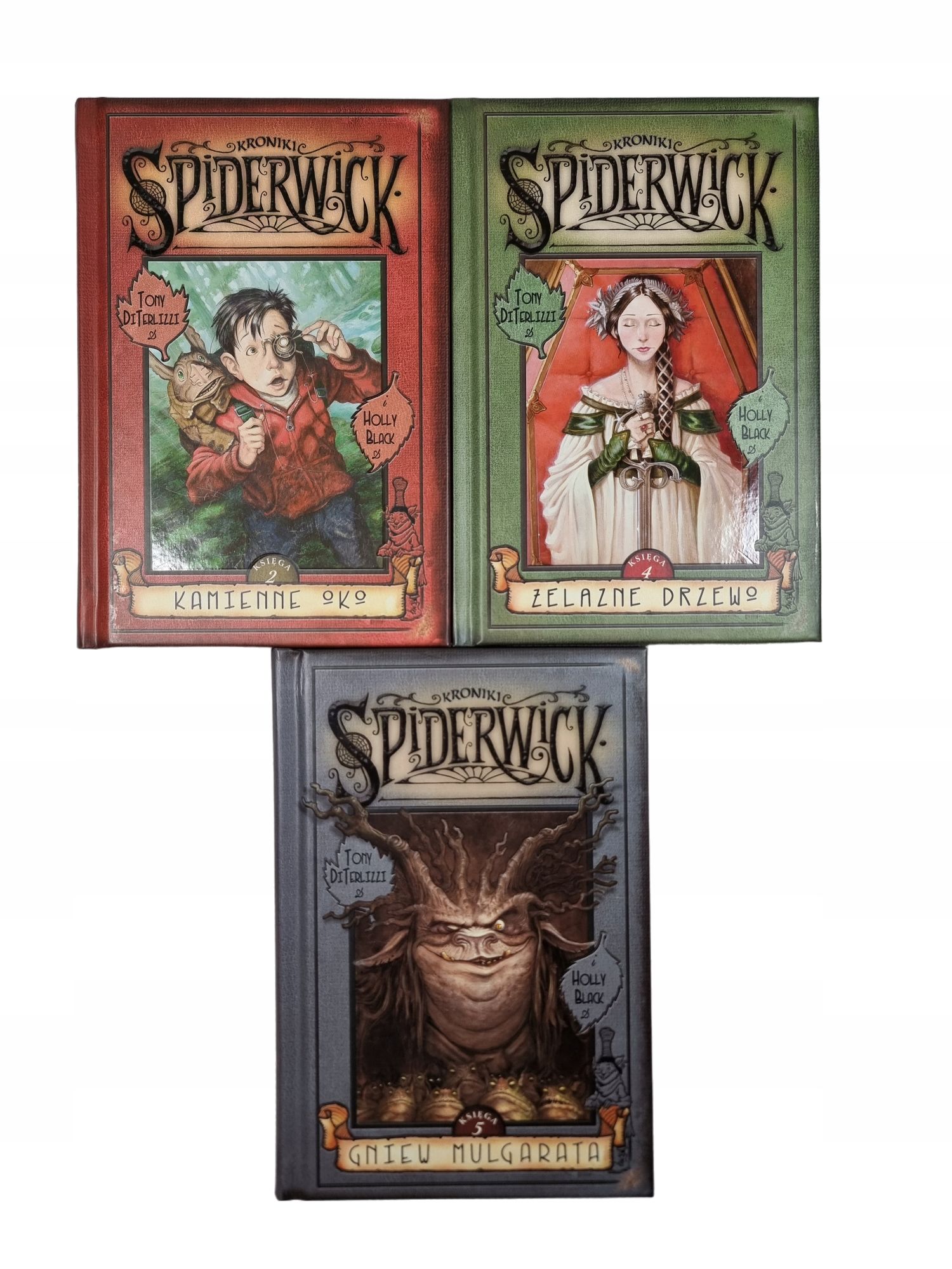 Kroniki Spiderwick / zestaw 3 książek / Holly Black / Tony Di Terlizzi