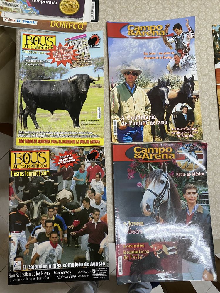 Revista burladero e 6 toros