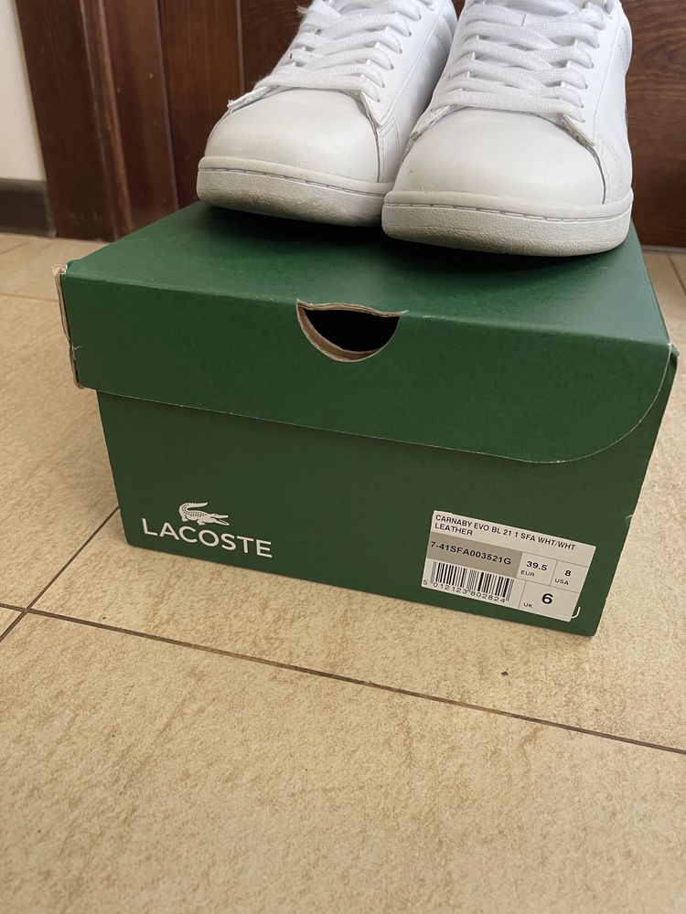 Buty snicersy Lacoste oryginalne