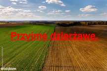 Przyjmę w dzierżawę grunty rolne do dalszej uprawy roli