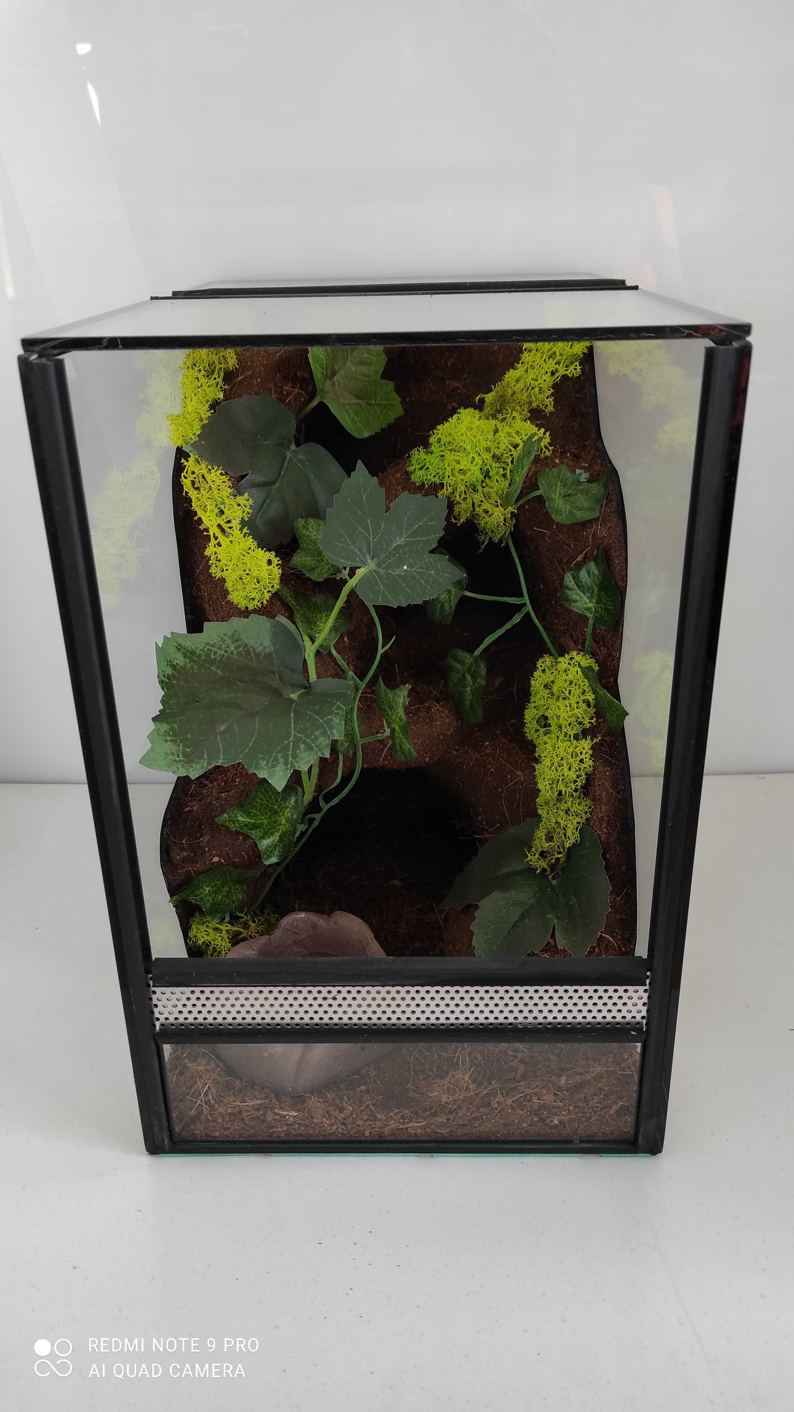 Terrarium dla ptasznika, pająka, TW23TP, AquaWaves