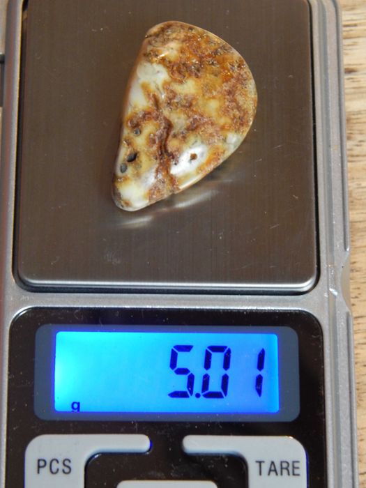 Bursztyn bałtycki, multikolor, ok. 5,01g
