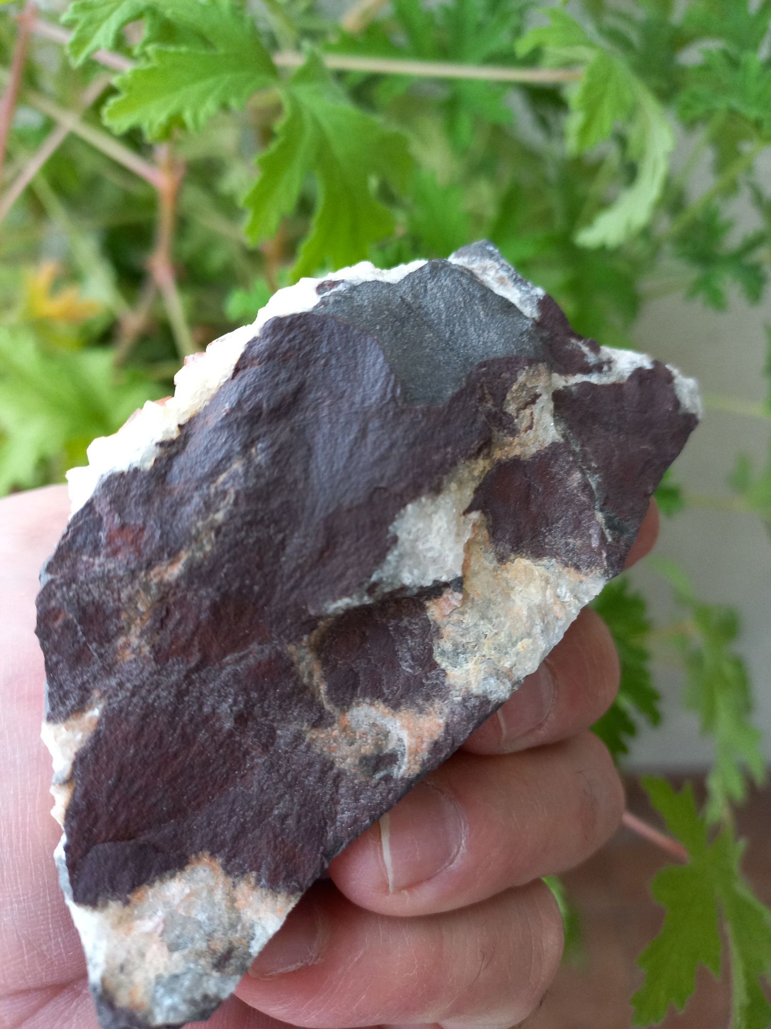 Minerały dolomit,ankeryt na sferosyderycie