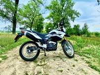 Forte ft 300 cfb