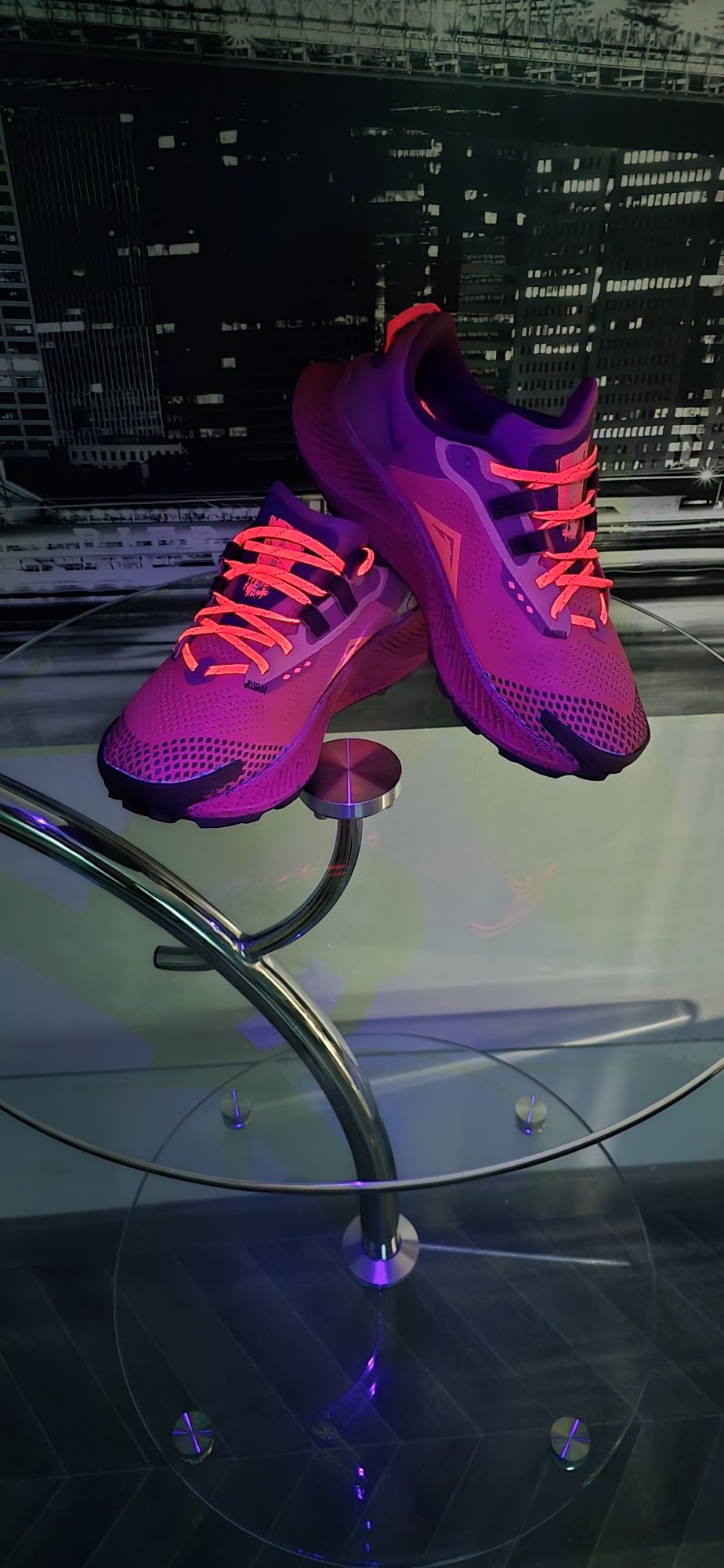 Nike Pegasus Trail 3 Gore tex