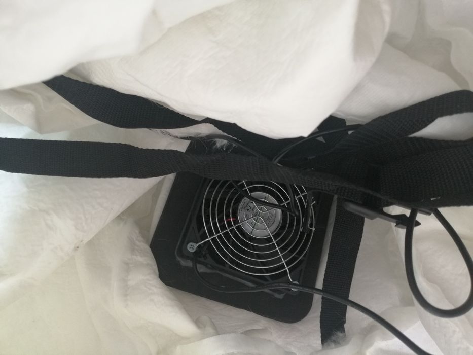 Kostium białego misia rozmiar 2m