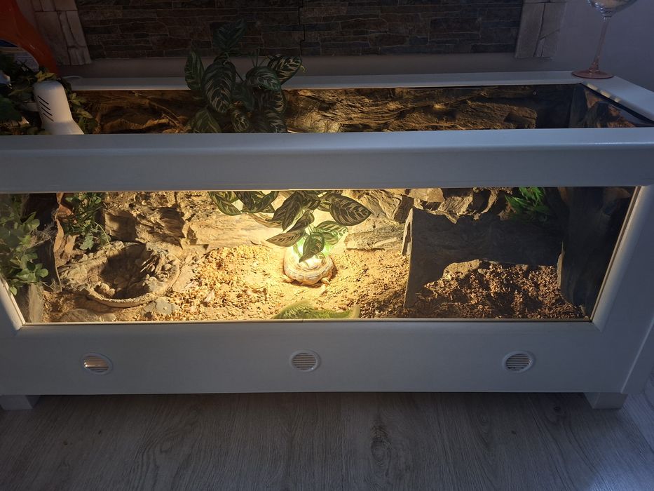 Terarium dla żółwia stepowego