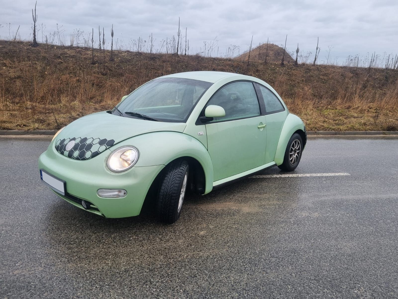 Volkswagen new Beetle 1.9