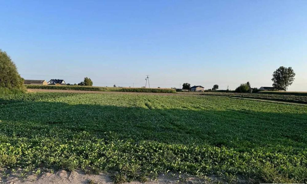Działka budowlana o pow. 2 300 m2 dobry wymiar 21 m x 110 m Wymysłów