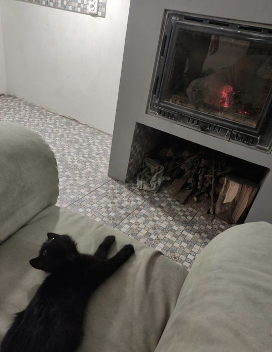 Приватний будинок в селі