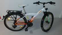 Rower Kettler