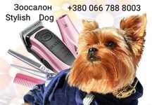 Стрижка собак, грумінг