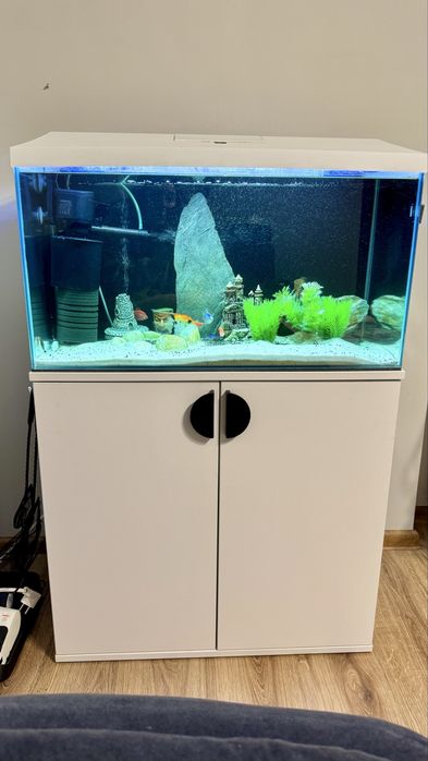 Akwarium 100l z szafką + pełne wyposażenie + ryby