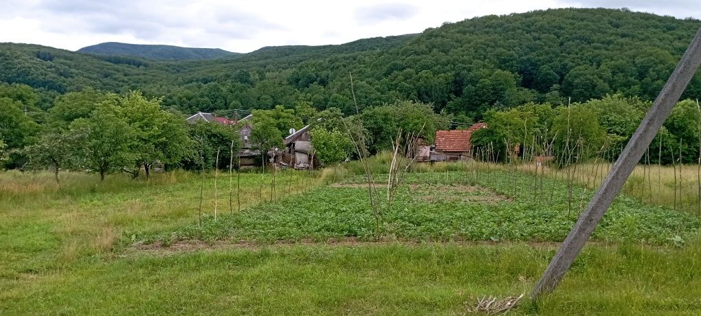 Продаємо будинок Павлово Закарпатськой області