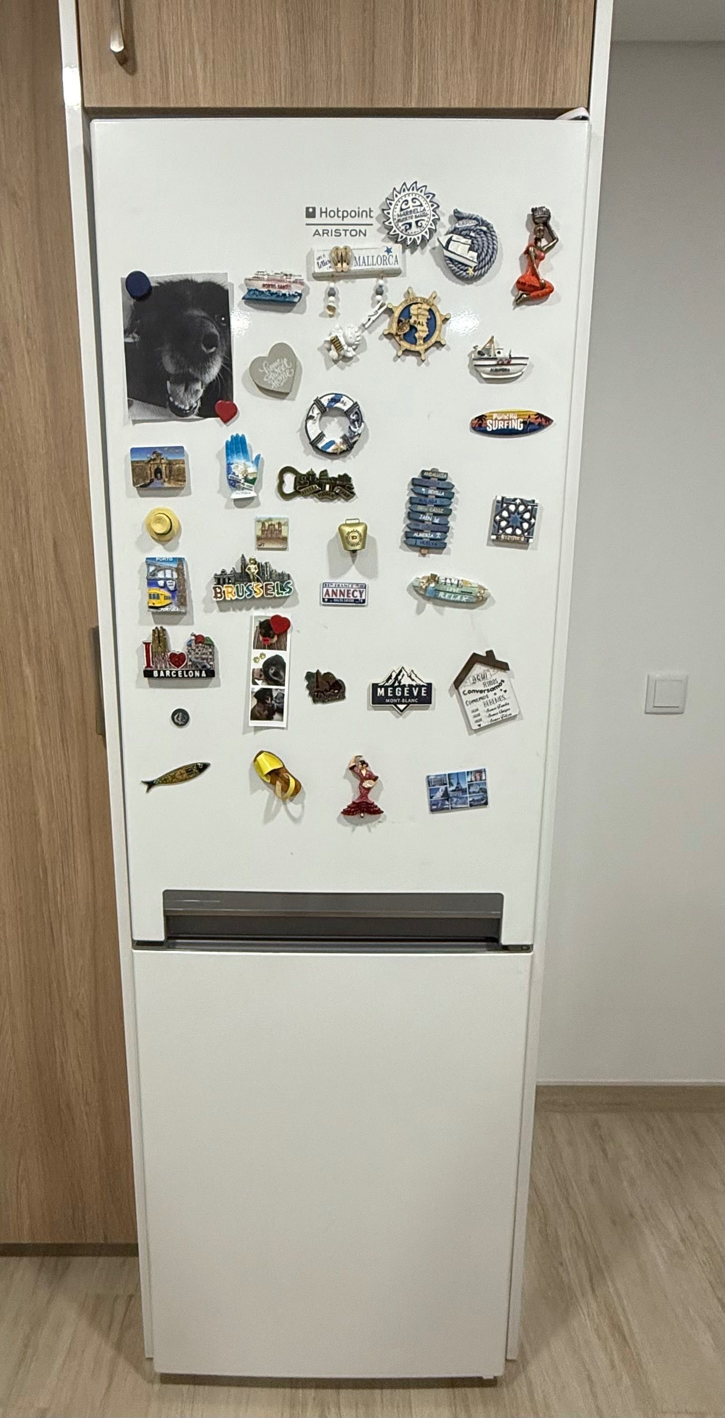 Frigorifico hotpoint