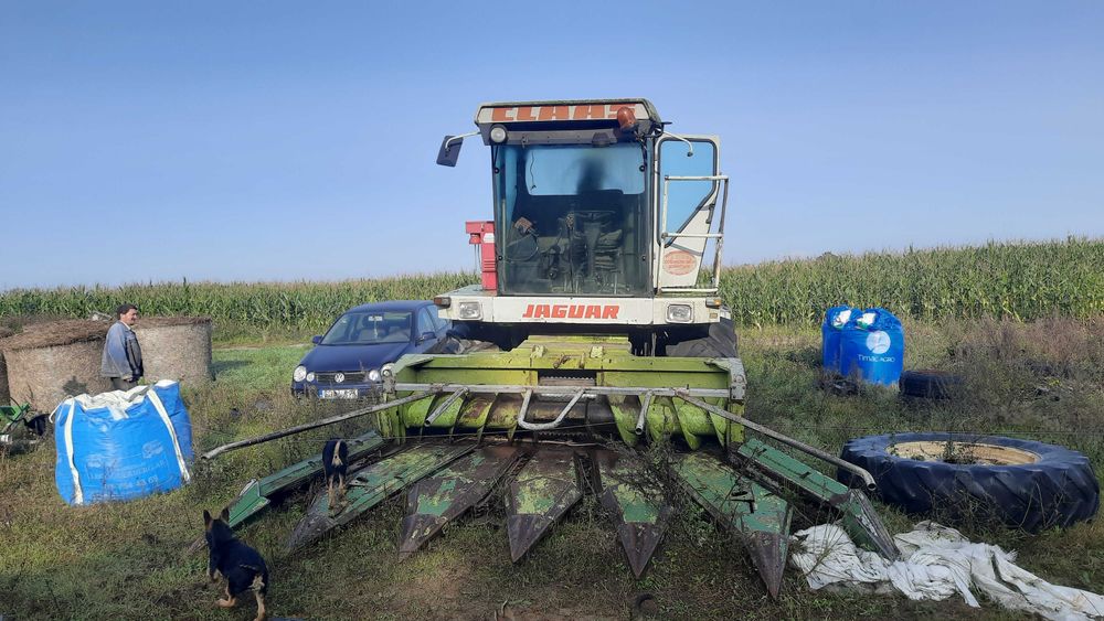 Sieczkarnia Claas Jaguar 800