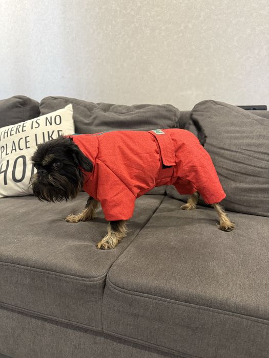 Одяг для собак розмір М