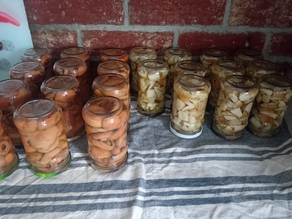 Grzyby marynowane prawdziwki i rydze z atestem