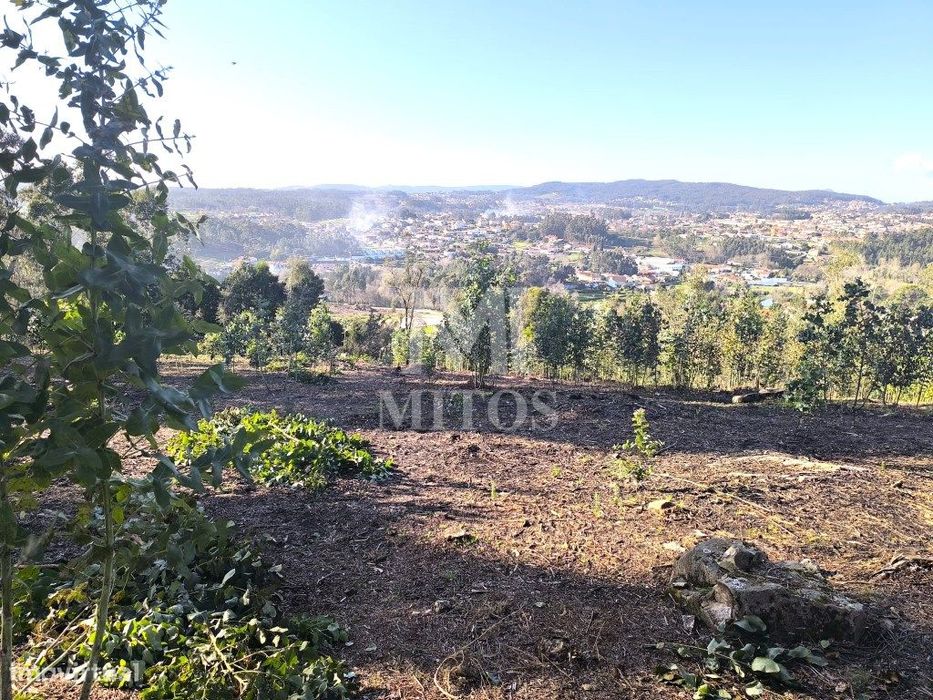 Terreno de construção