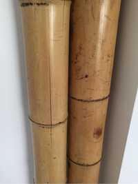 Bambus 200 x 10cm