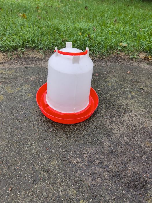 Poidełko dla kur + wytłaczanki do jaj