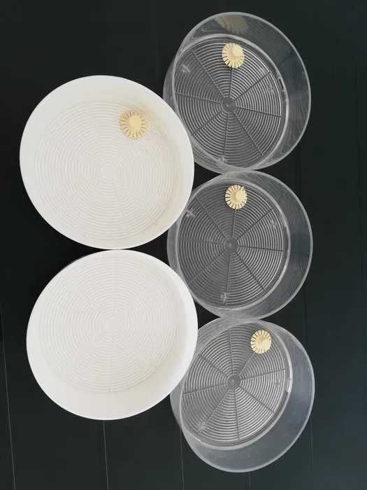 Germinador de Sementes