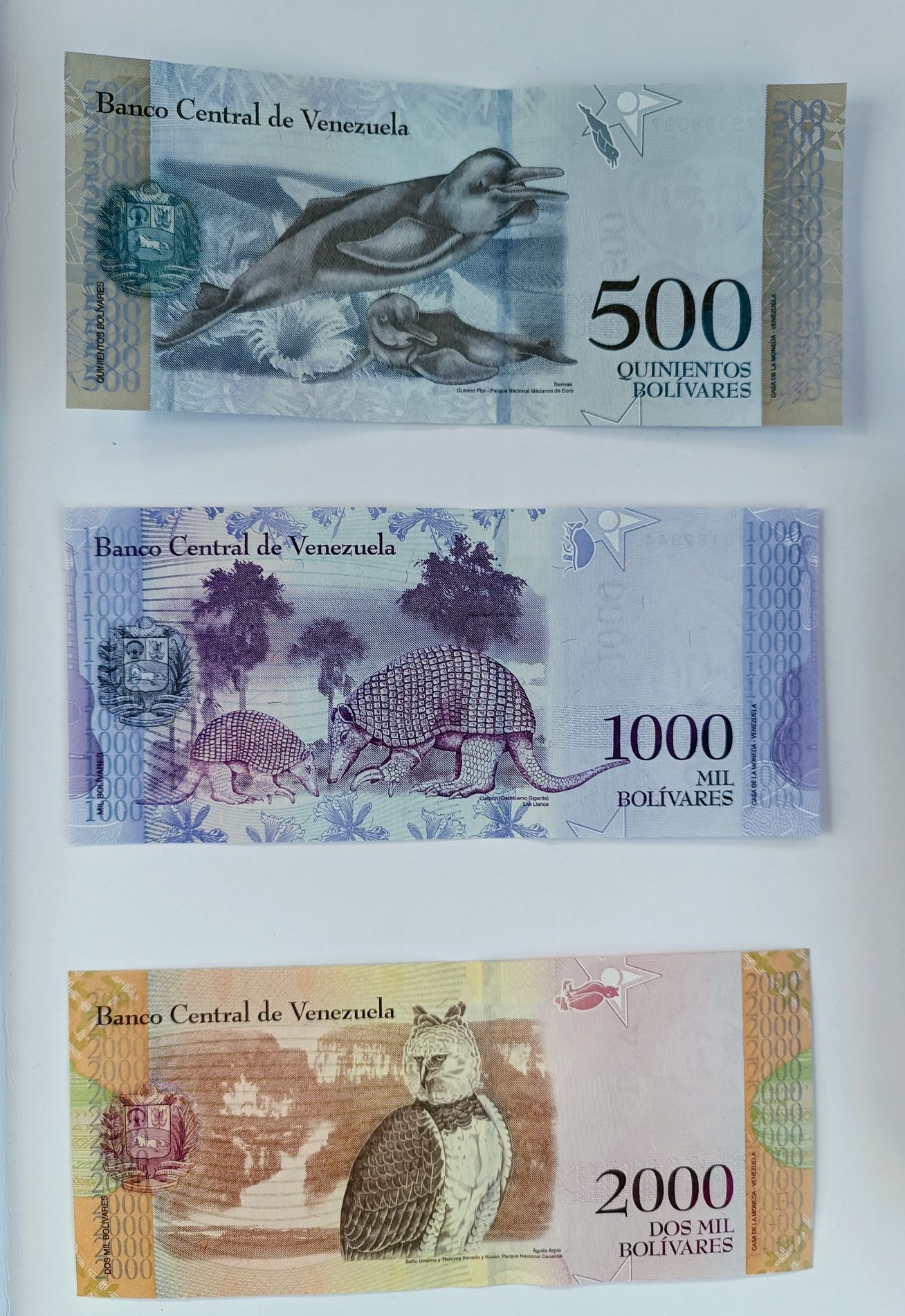 zestaw banknotów 2-2000 bolivares Wenezuela  , 9 szt