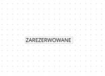 Przestronne mieszkanie 110m2 na poddaszu na wynajem