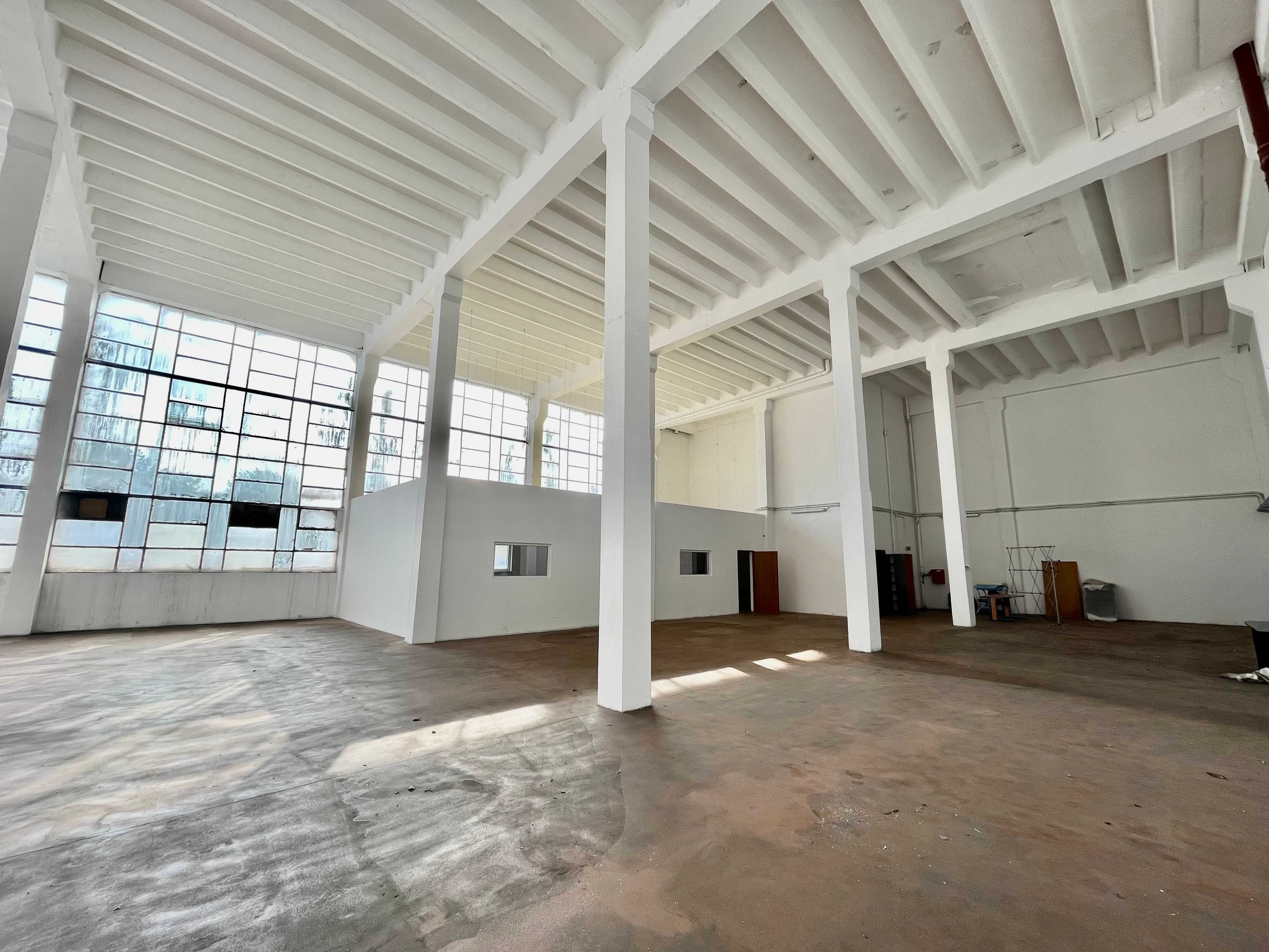 550 m2 - hala Teofilów - wynajmę