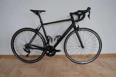 Canyon Endurace 7.0 AL 2019 M