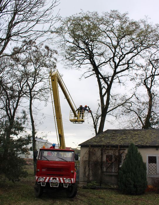 Podnośnik koszowy, wycinka drzew, czyszczenie rynien, mycie dachów
