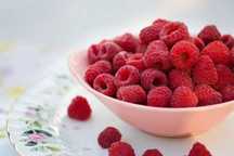 Maliny prosto z plantacji 25zł/kg