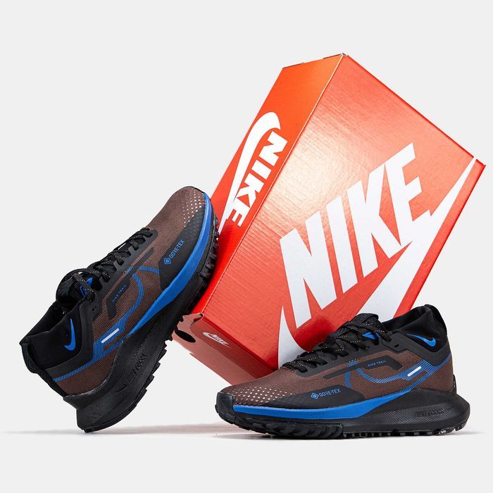 Кросівки Nike Pegasus Trail 4 Gore-Tex Premium Brown/Blue