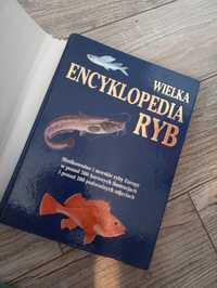 Wielka encyklopedia ryb