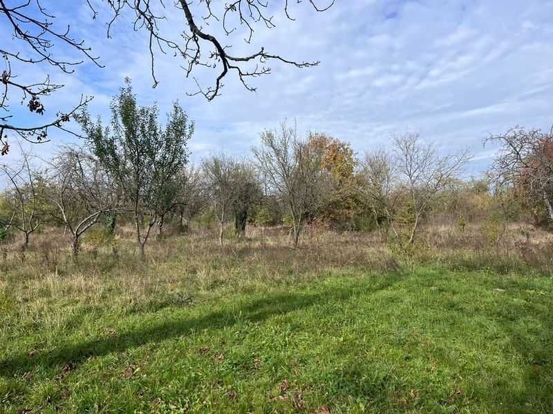 Оренда ділянки під заклади освіти 4га смт.Батьово