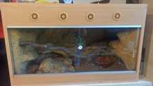 Terrarium z lokatorem