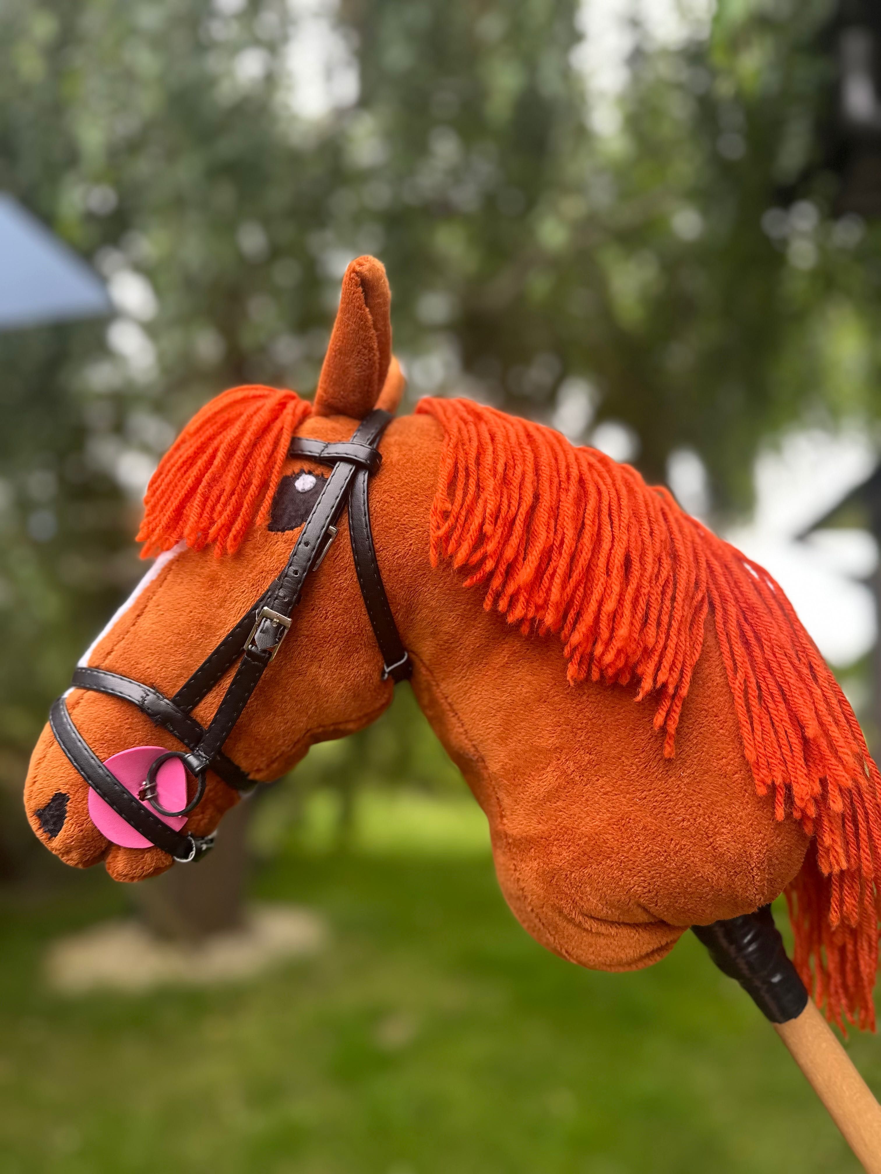 Hobby horse rudy