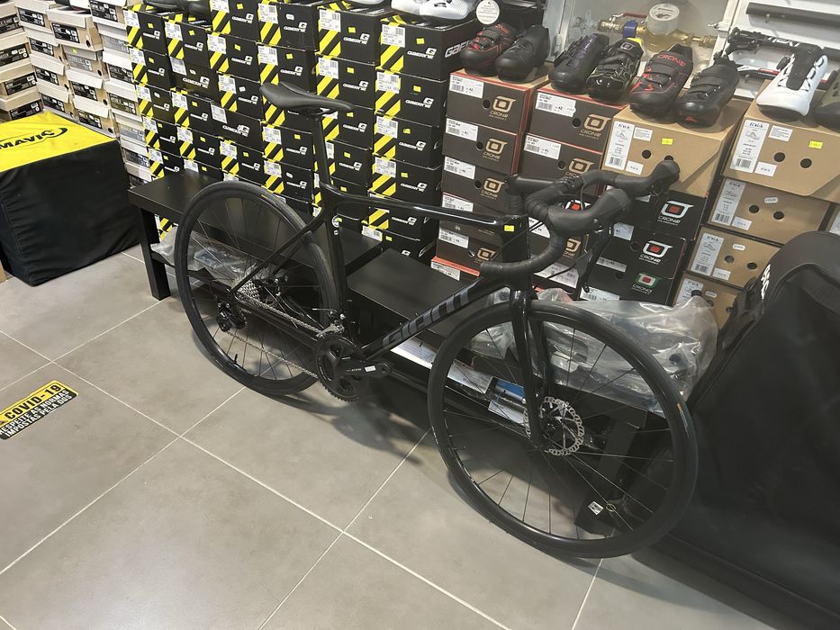 Bicicleta estrada - Giant Tcr Advanced 2024