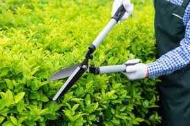 САДІВНИК Сад під ключ: перетворюємо простір на натхнення