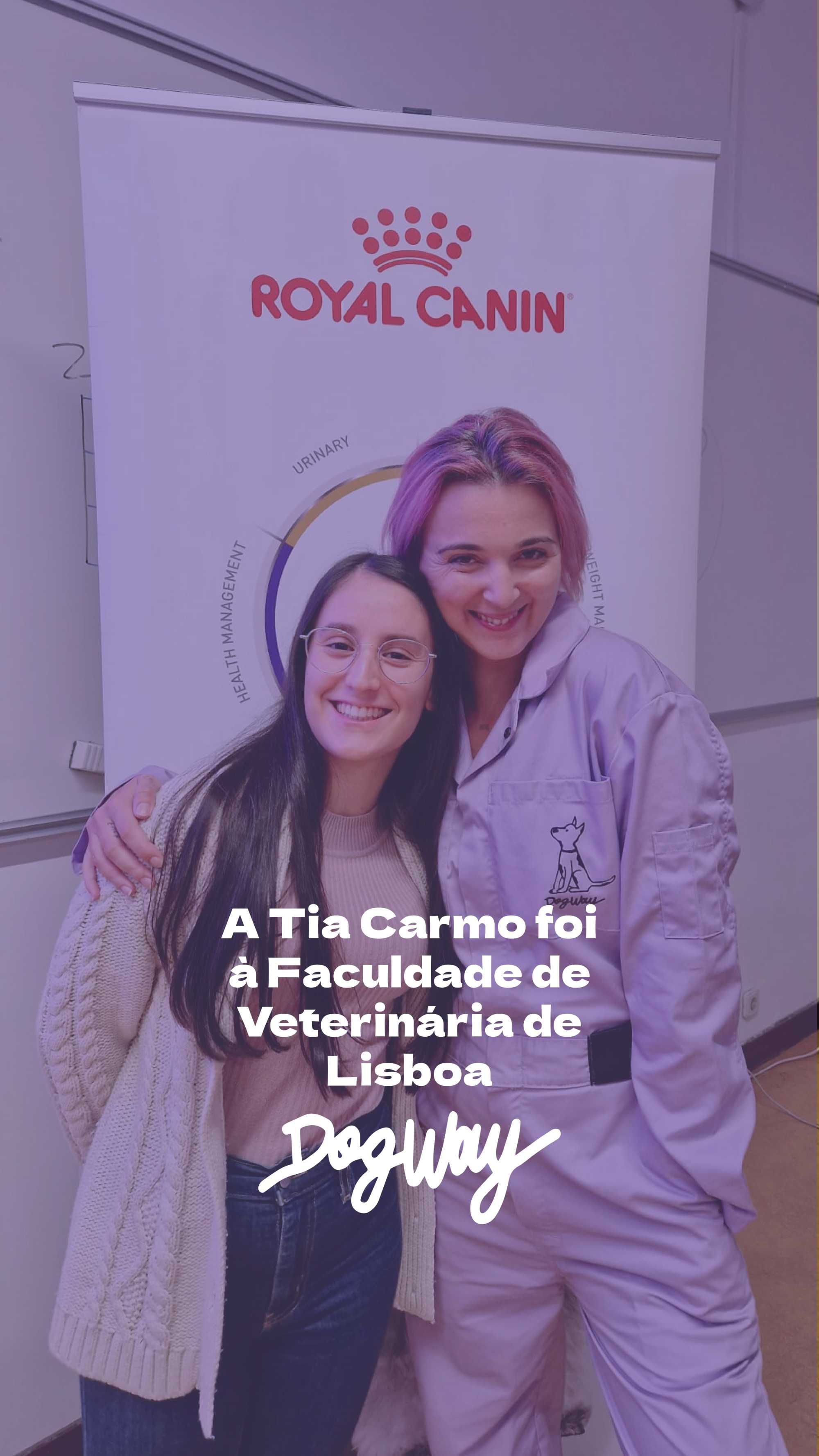 Treino de Cachorros com Métodos Positivos – DogWay