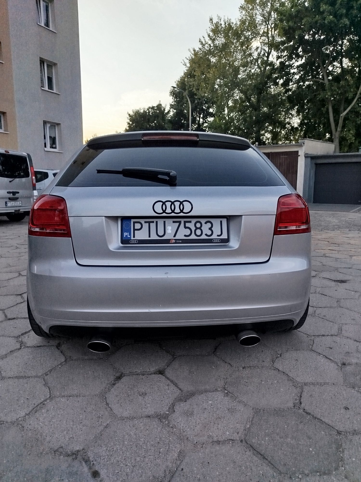 Sprzedam zarestrowanego Anglila lub zamienię na coś tańszego