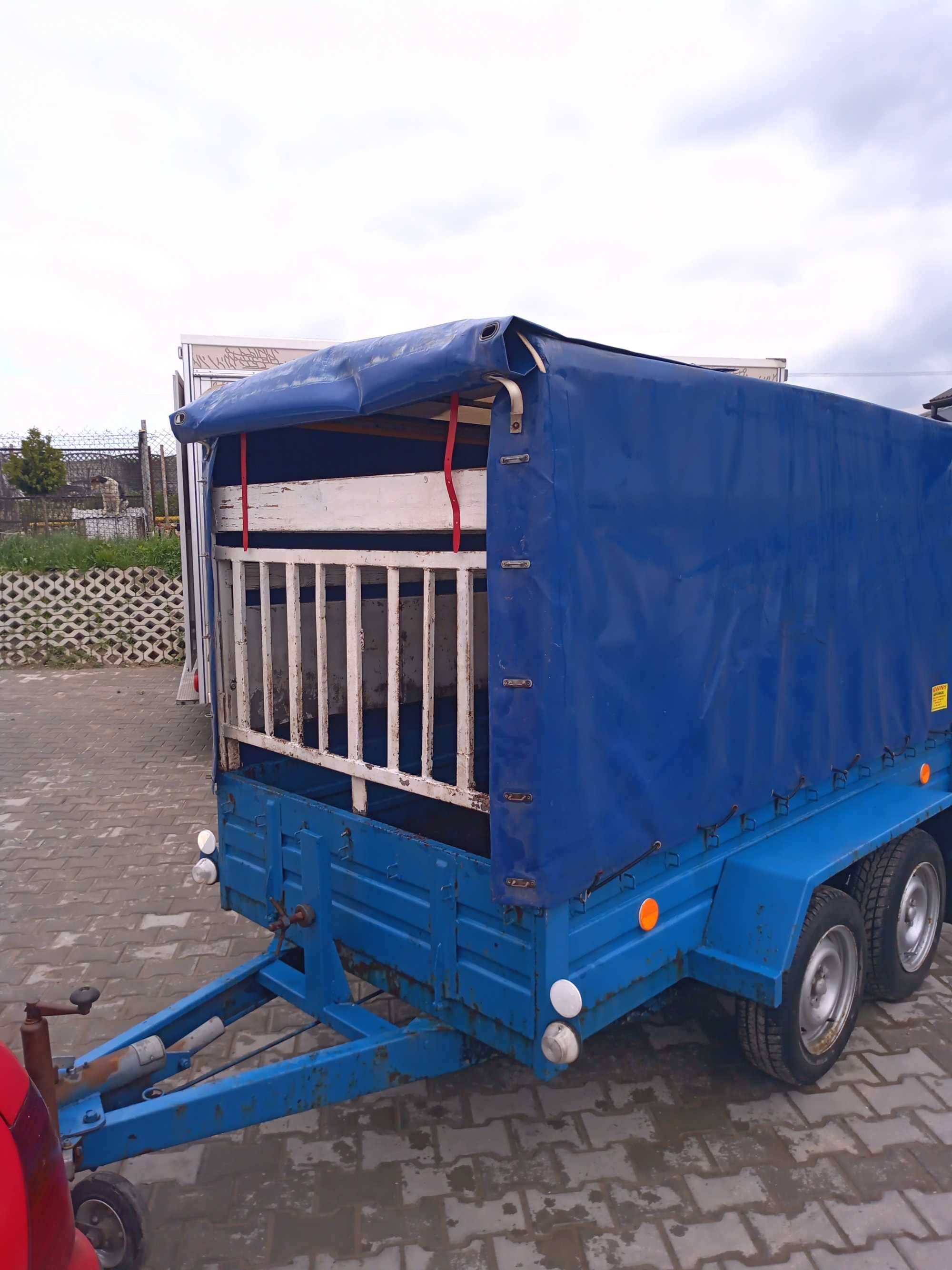 Przyczepka samochodowa do transportu zwierząt.