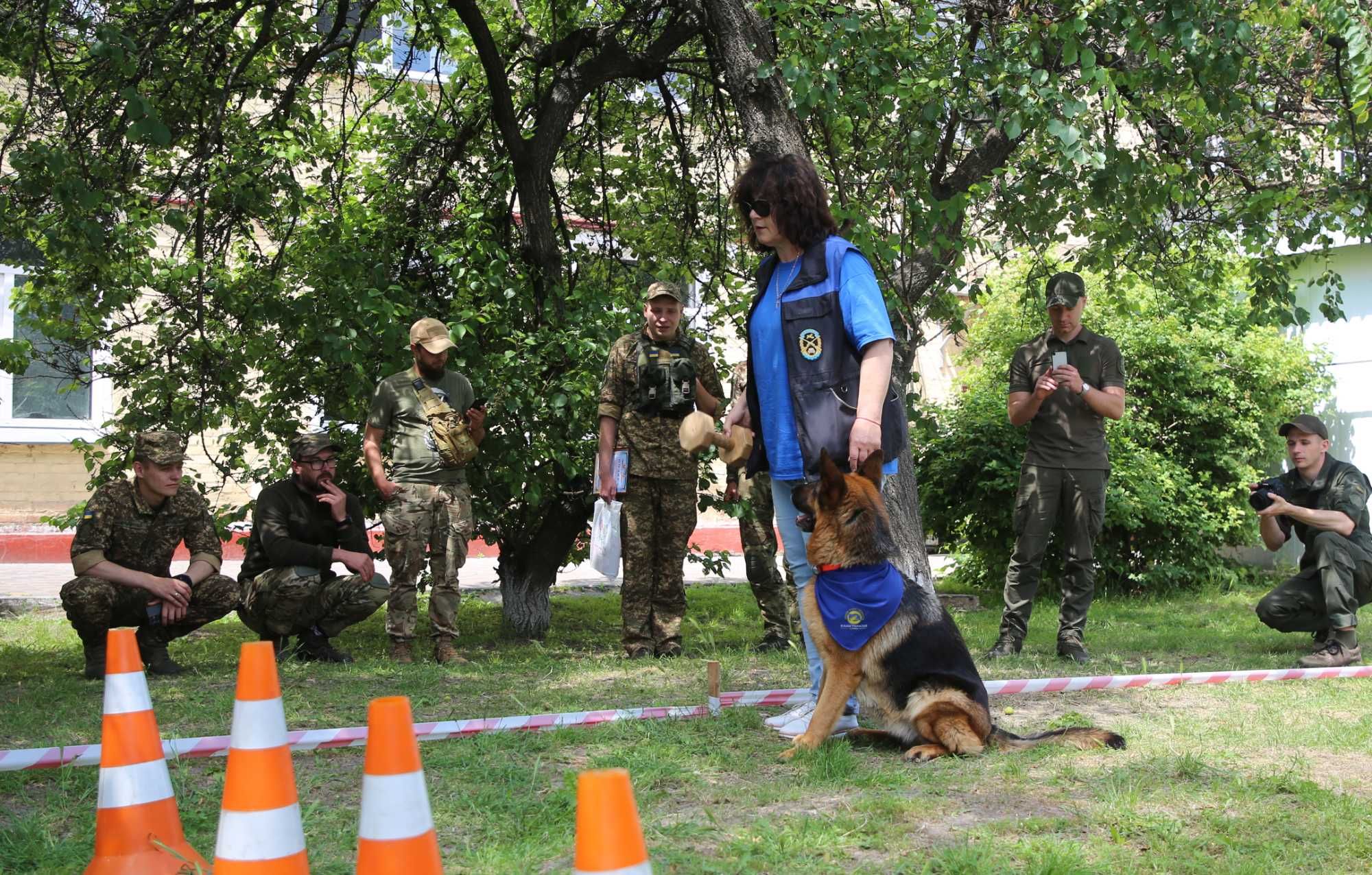 Німецька вівчарка.