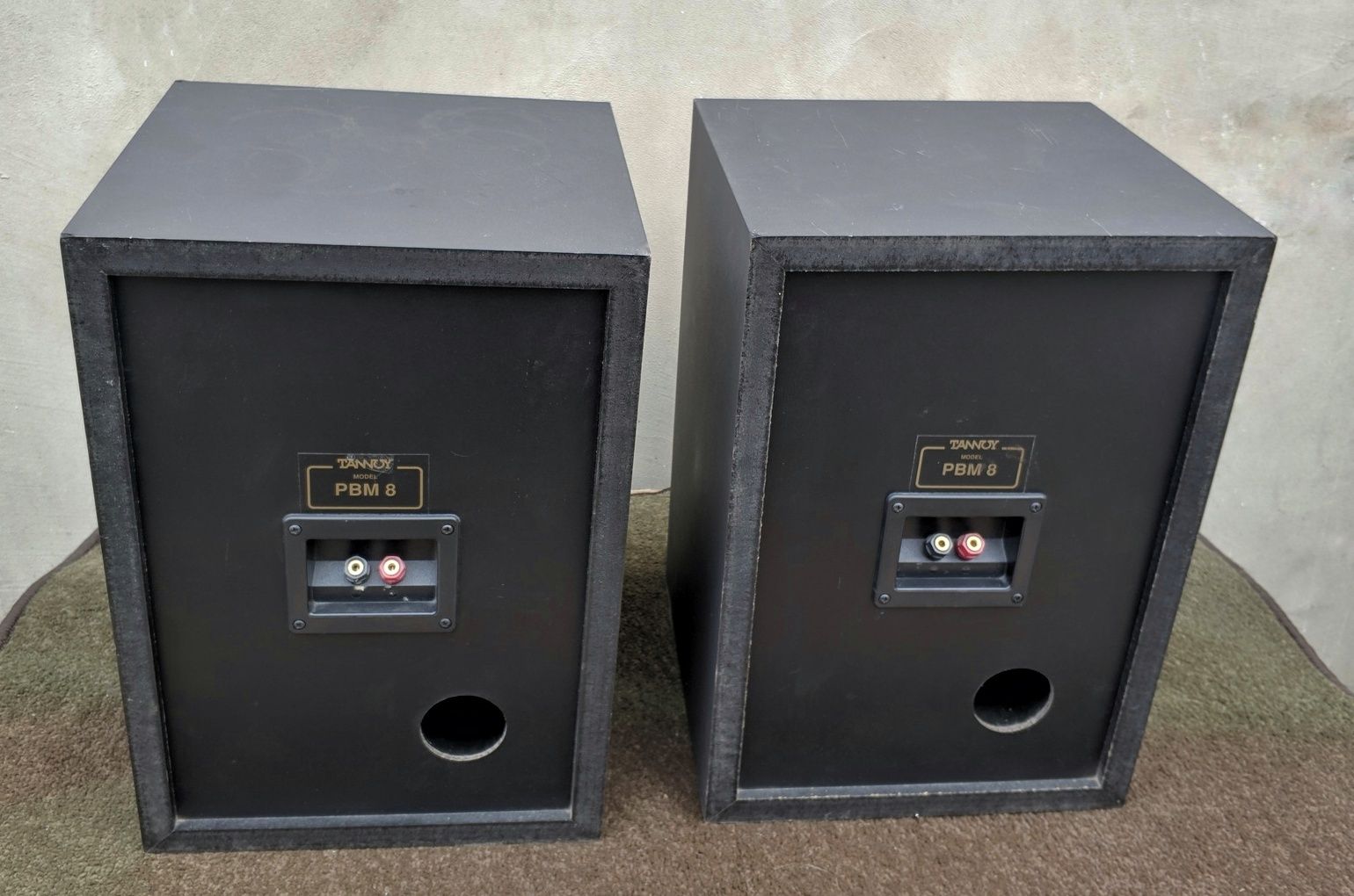 Tannoy PBM-8 - mocne muzykalne kolumny podstawkowe