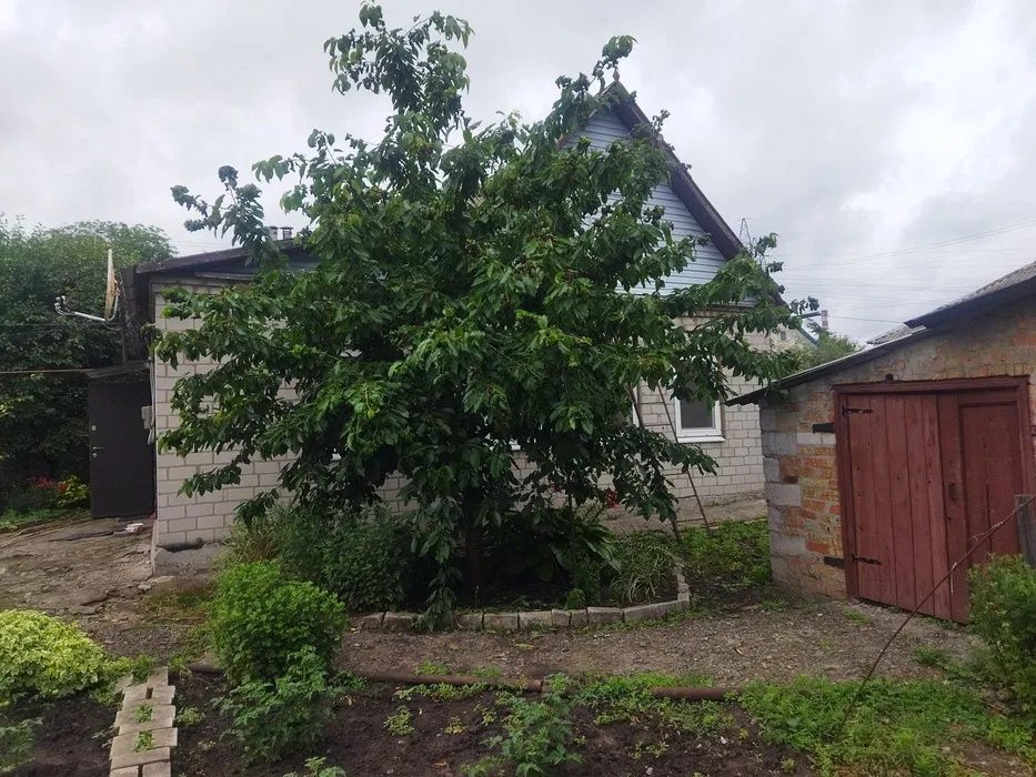 Продам дом.  Р-н Краснополье