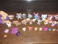 Littlest Pet Shop + statek