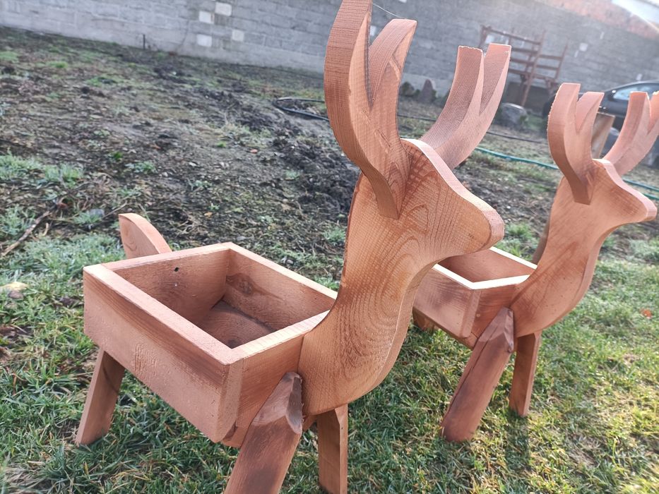 Jelonki małe 65 cm wysokość